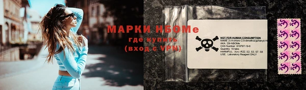 крисы Баксан