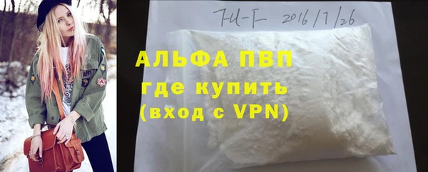 крисы Баксан