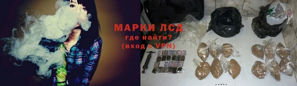 крисы Баксан