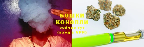 крисы Баксан