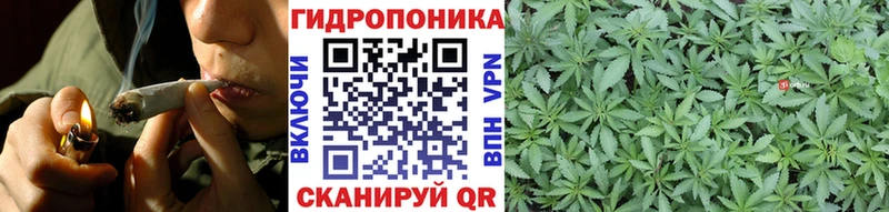 Марихуана сатива  купить  цена  Красный Холм 